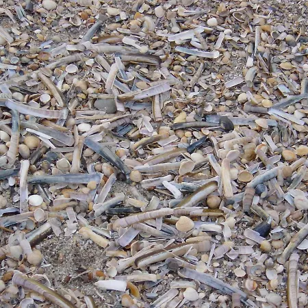 Haus Nordseeresidenz 75 * Vesterland